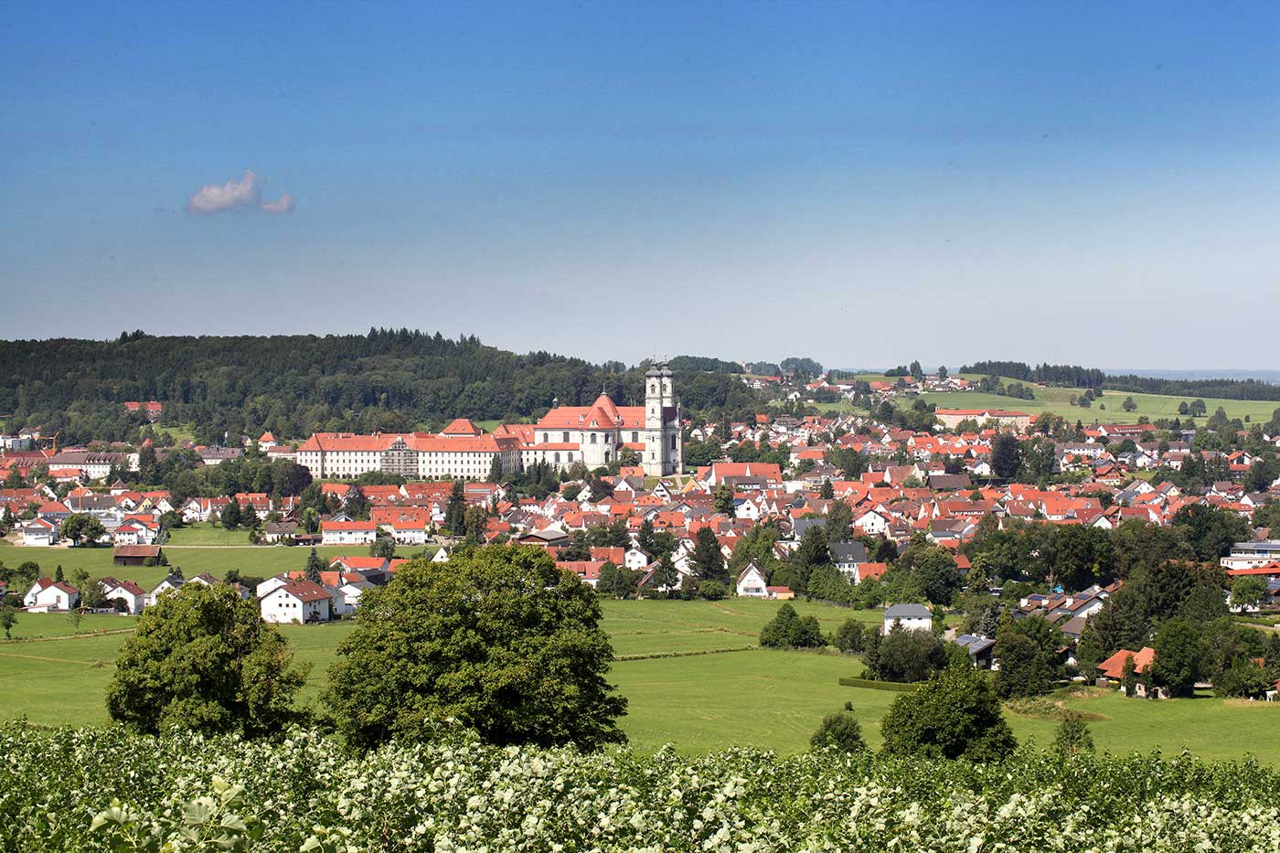 Roland Mang - Ansprechpartner für Wohnungsbau